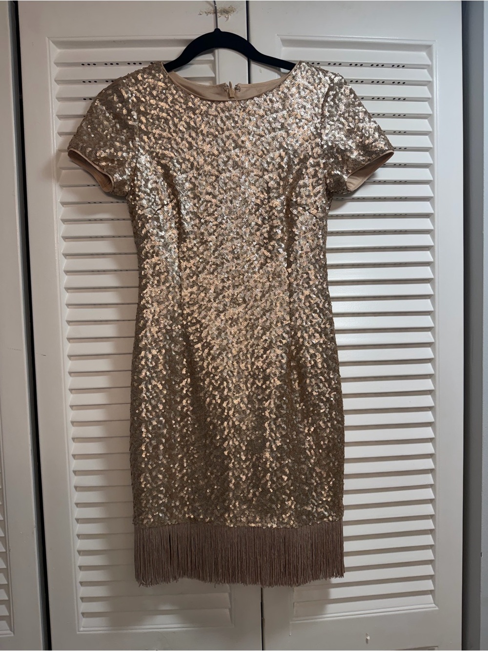 Aidan Mattox Champagne Sequin Fringe Mini Dress